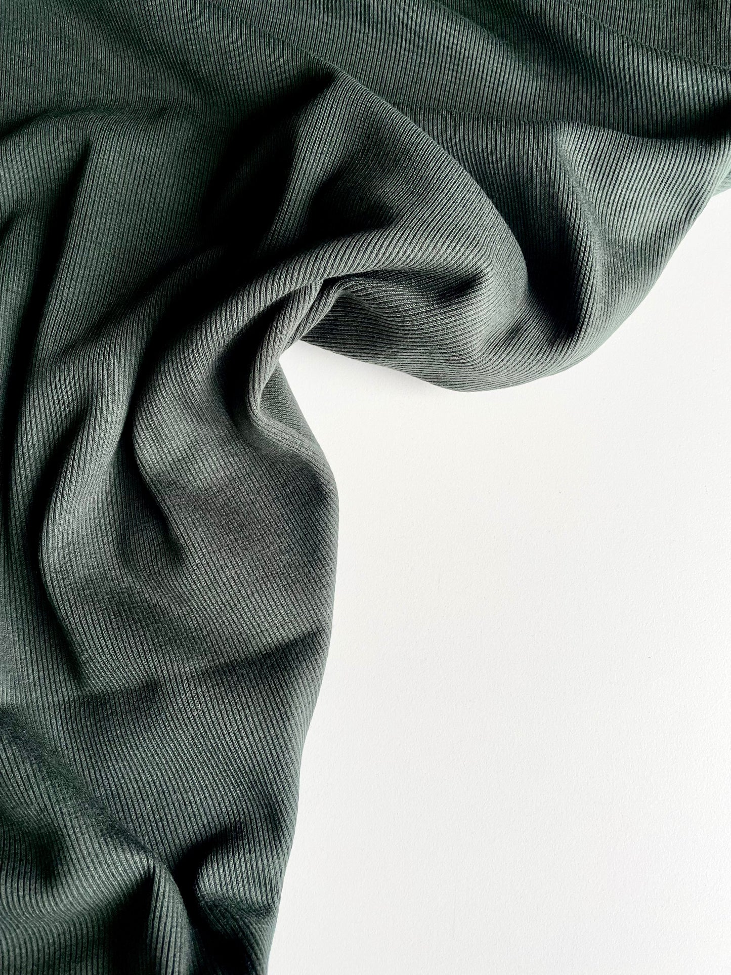 Ribbed Cotton Jersey - Dark Green