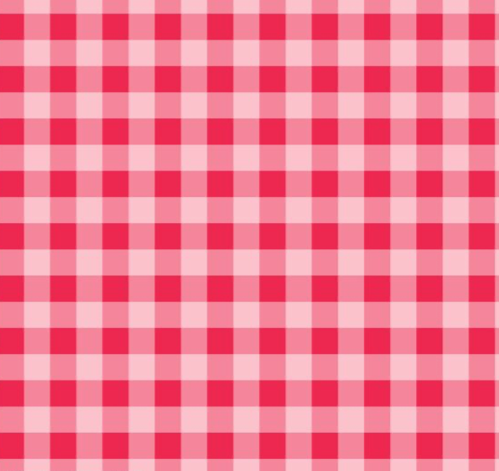 Red & Pink Gingham Viscose - The Crafty Pie - REMNANT - 50cm